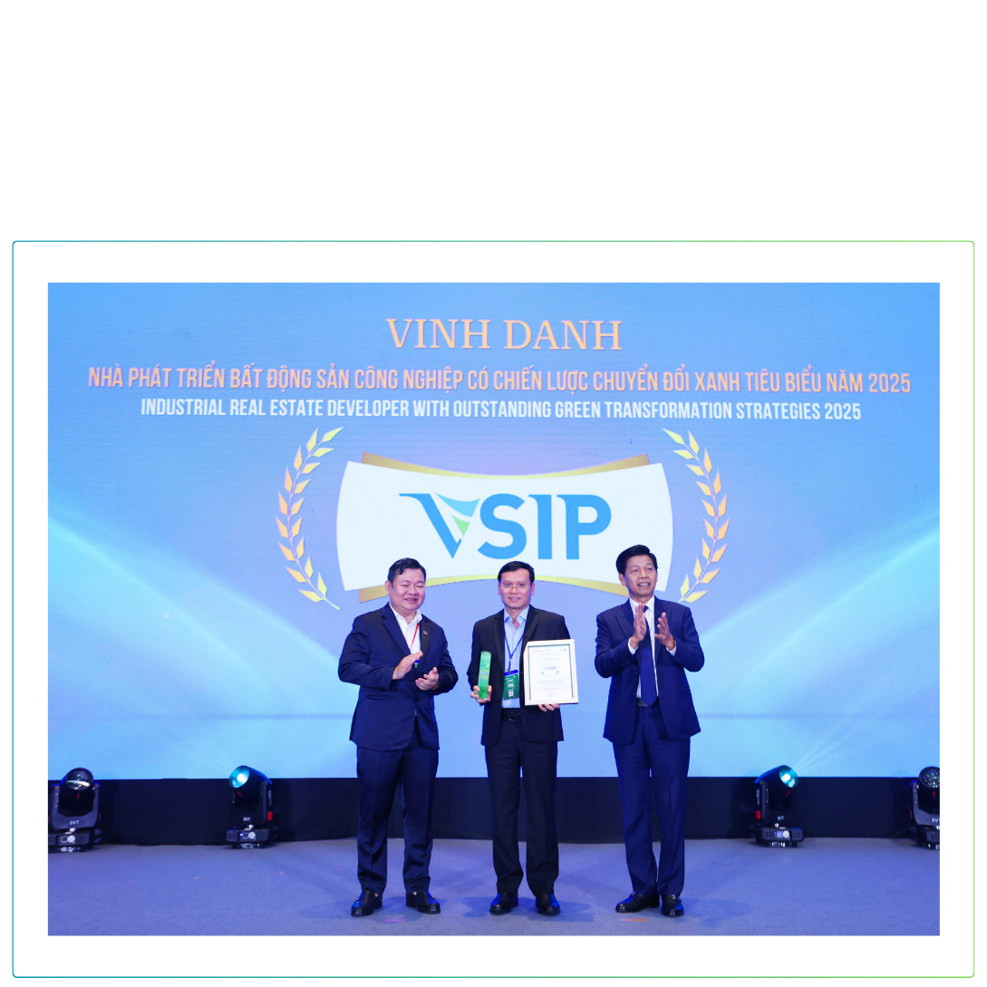 Vietnam Singapore Industrial Park